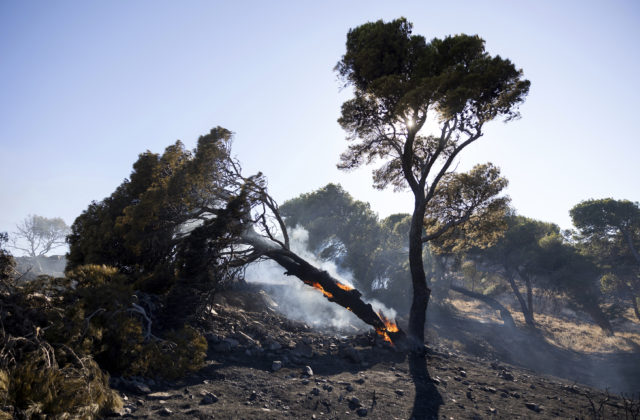 Pri Aténach horia dva veľké lesné požiare, ich šíreniu napomáha počasie a silný vietor
