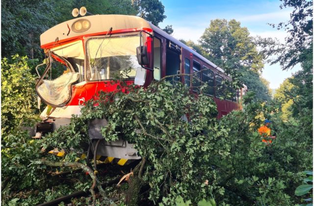 Spadnutý strom počas silnej búrky spôsobil nehodu vlaku, rušňovodič utrpel poranenie hrudníka (foto)