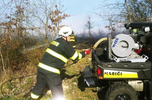 Profesionálni aj dobrovoľní hasiči zasahovali pri požiari lesnej mladiny