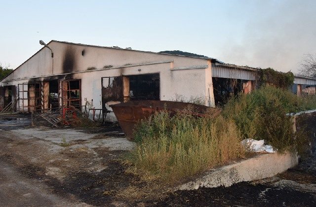 Slovensko by malo odškodniť nezákonne sterilizované rómske ženy, poslankyne PS predstavili návrh (video)