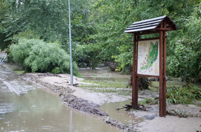 Bratislavská ZOO sa po povodniach obáva o svoju budúcnosť, pomôžme jej opäť otvoriť