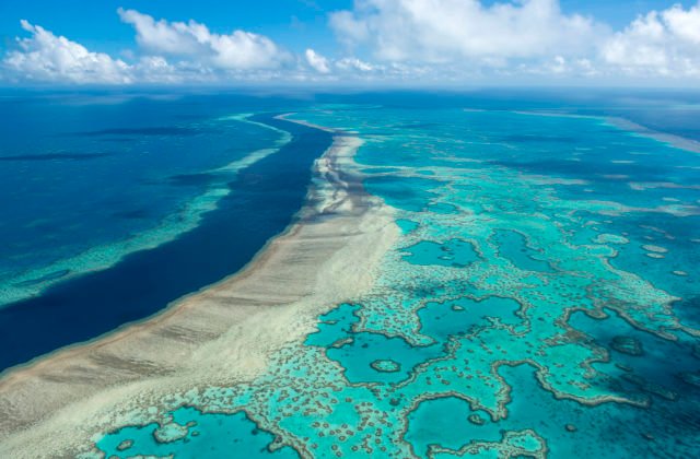 Veľká koralová bariéra zatiaľ nepribudne na zoznam ohrozených lokalít svetového dedičstva UNESCO