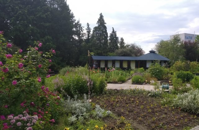 Botanická záhrada v Košiciach bude mať nový náučný chodník za viac ako 35-tisíc eur