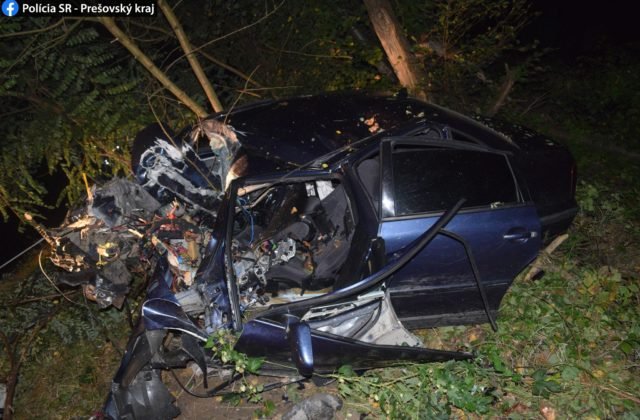 Vodič zišiel s autom mimo cestu, náraz do stromu neprežil (foto)