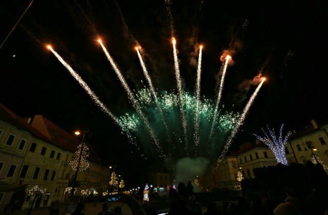 Banská Bystrica nebude organizovať silvestrovský ohňostroj, peniaze venuje opusteným psom