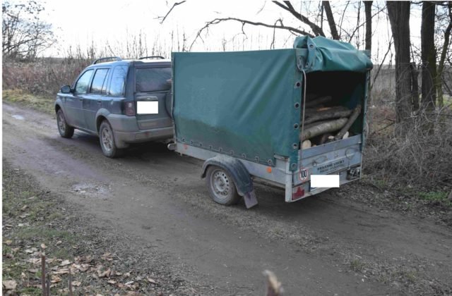 Muž ukradol v okrese Senec vyťažené drevo, hrozia mu dva roky vo väzení (foto)