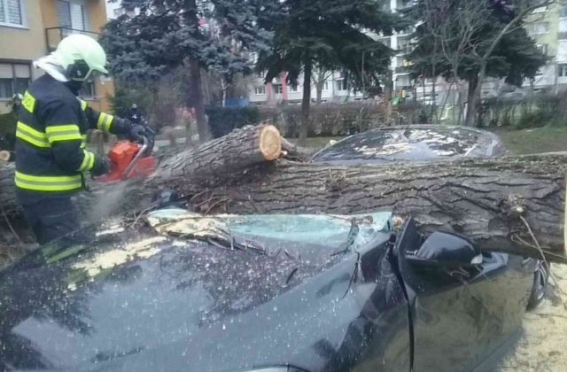 Hasiči uskutočnili pre silný vietor 70 výjazdov, najvážnejšia situácia bola v Bratislavskom a Trnavskom kraji (foto)