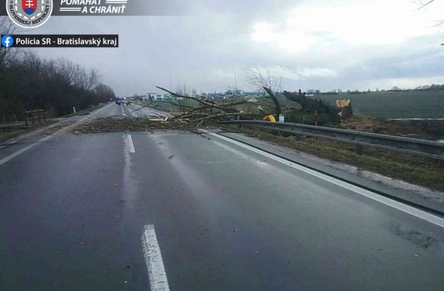 Cesta medzi Malackami a Veľkými Levármi je neprejazdná, pád stromu tam spôsobil únik plynu (foto)