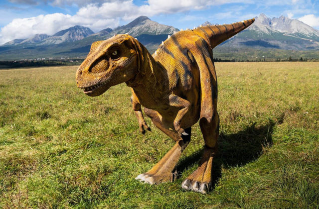 Dinopark Tatry vybudovali bez potrebných povolení, dinosaury i stany mali podľa inšpekcie dávno odstrániť