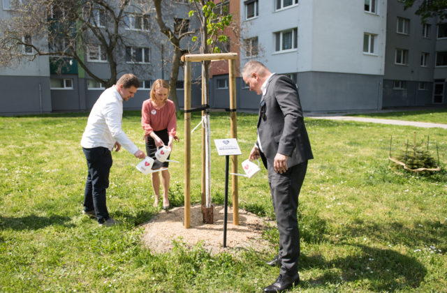 Za obete pandémie symbolicky dýcha už 25 spomienkových líp, najnovšia v bratislavskej Petržalke