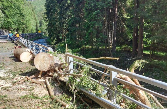 V Krkonošiach spadol na auto strom, traja ľudia neprežili (foto)