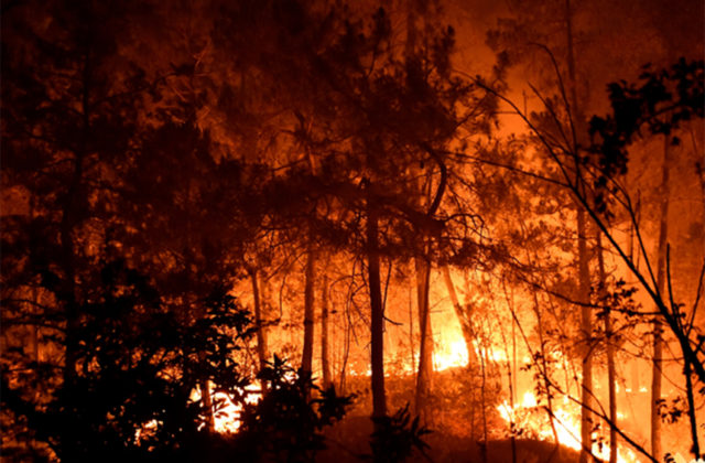 Stovky hasičov s lietadlami bojujú s veľkým lesným požiarom na juhozápade Francúzska