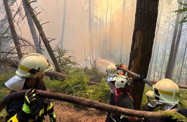 Českí hasiči od rána bojujú s rozsiahlym lesným požiarom v národnom parku, situáciu komplikuje sucho a kôrovcová kalamita