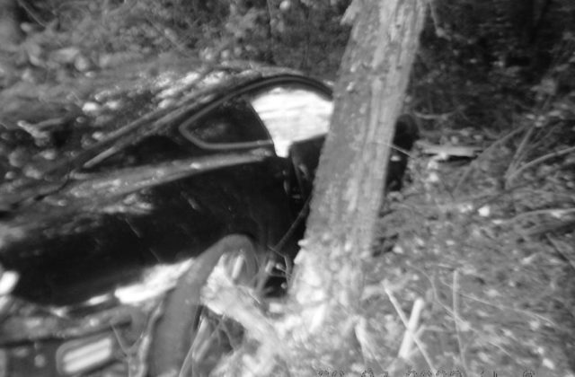 Vodič Fordu Mustang nezvládol rýchlu jazdu a narazil do stromu, nehoda skončila tragicky