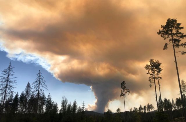 Hasičom sa nedarí uhasiť lesný požiar v parku České Švýcarsko, o pomoc požiadali aj slovenských kolegov