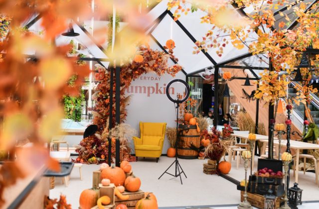 Halloweenske tekvice zoženiete priamo v Auparku