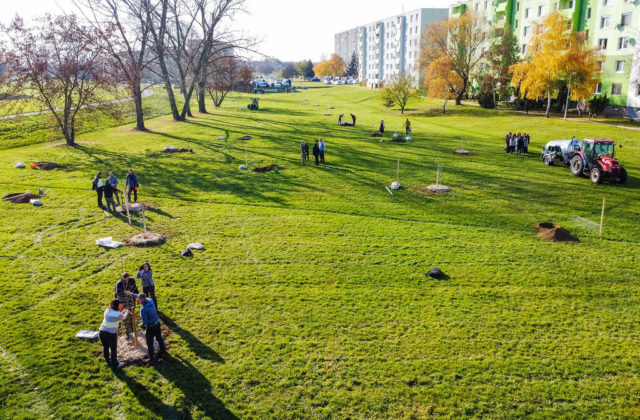 Sídliskový unikát: V Topoľčanoch vysadili jedlý park s tradičnými odrodami ovocných stromov