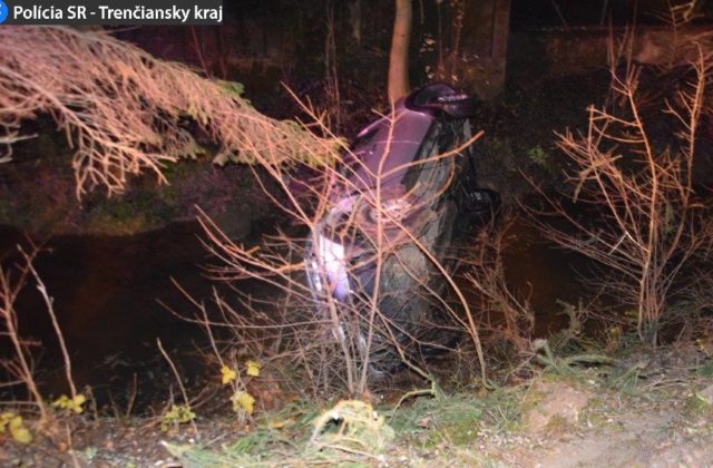Vodič prešiel cez stredový ostrovček a narazil do stromu, našli ho bez známok života (foto)