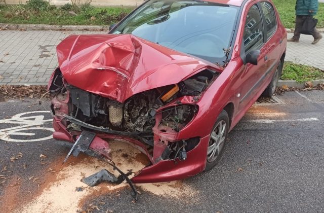 Vodička Peugeotu vrazila do druhého auta a do stromu, zraneniam neskôr podľahla (foto)