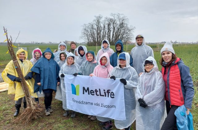 Dobrovoľníci z poisťovne MetLife Slovensko vysadili vo Veľkom Bieli už sto stromčekov
