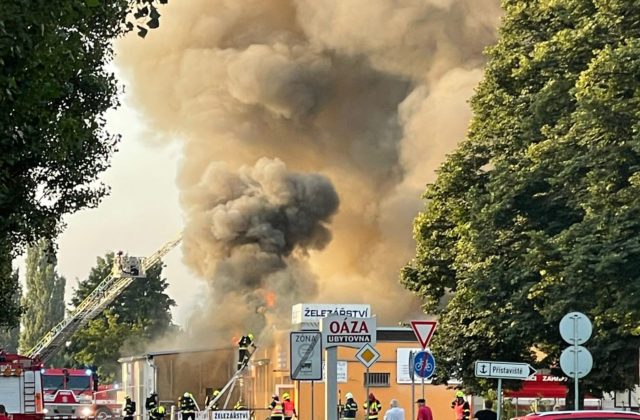 Koho si najviac želajú Slováci za premiéra? Pellegriniho by chceli ženy, Fica zase muži