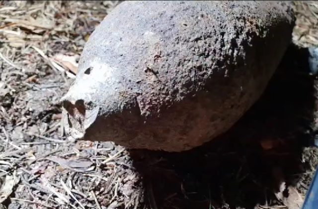 V blízkosti Železnej studničky našli muníciu z druhej svetovej vojny, zasahoval pyrotechnik (video) 