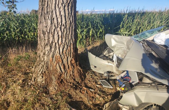 Vodič zišiel plynule mimo cestu a narazil do stromu, zraneniam na mieste podľahol (foto)