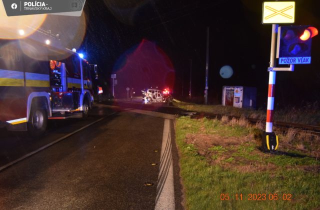 Dôchodca cestou na výstavu holubov vbehol s autom pred vlak (foto)