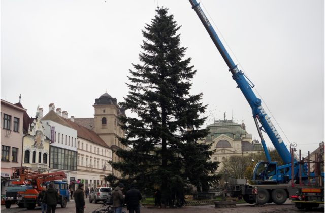 Hlavnú ulicu Košíc skrášľuje vianočný stromček, rozsvietenie výzdoby je naplánované na začiatok decembra (foto)