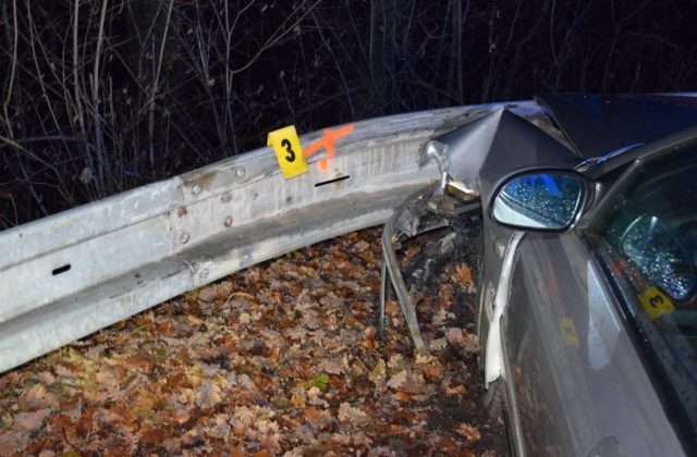 Muž narazil autom do zvodidiel a odišiel, privolaných policajtov napadol a k útoku vyzýval aj svojho psa (foto)