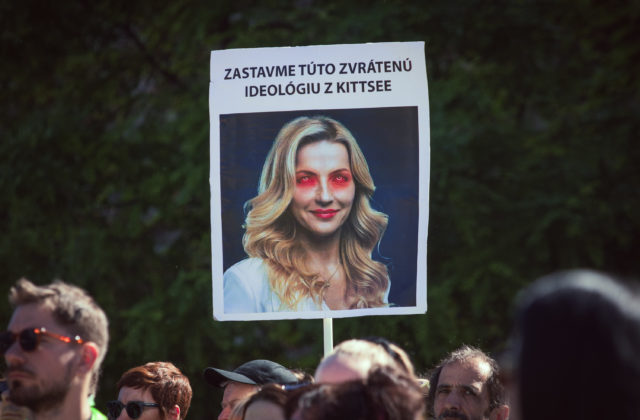 Gruzínsky parlament schválil napriek masovým protestom sporný zákon o zahraničnom vplyve (video+foto)