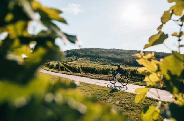 6 najkrajších oblastí v Dolnom Rakúsku, do ktorých sa oplatí vyraziť na cyklistiku