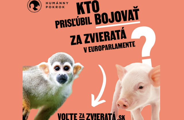 Organizácie vyzvali kandidátov do eurovolieb, aby prijali záväzok pre lepšiu ochranu zvierat. Zatiaľ sa pripojilo 46 z nich