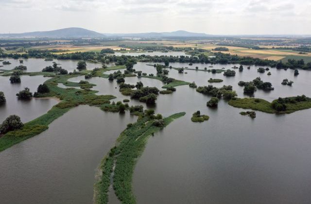 Rieka Morava sa vyliala na obľúbenú cyklotrasu pri Bratislave, kraj ju musel uzatvoriť (foto)