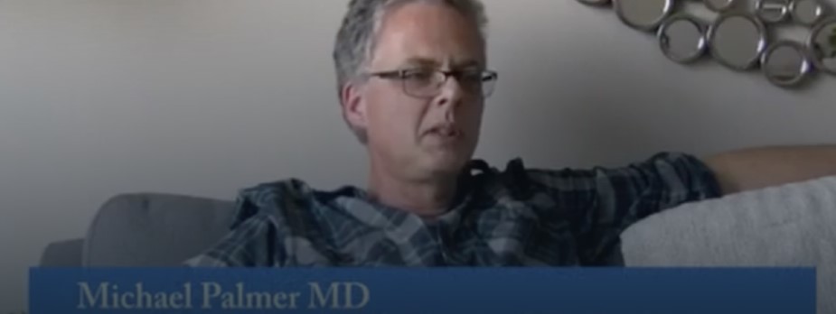 HOAX: VIDEO: Dr. Michael Palmer o toxicitě mRNA vakcín