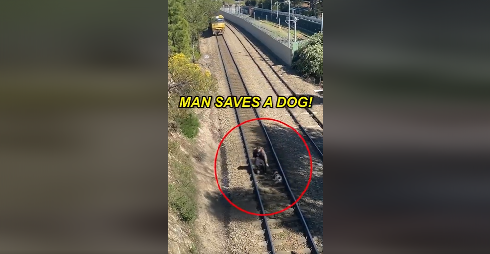 Hrdina, ktorý zachránil psa pred prichádzajúcim vlakom (VIDEO)