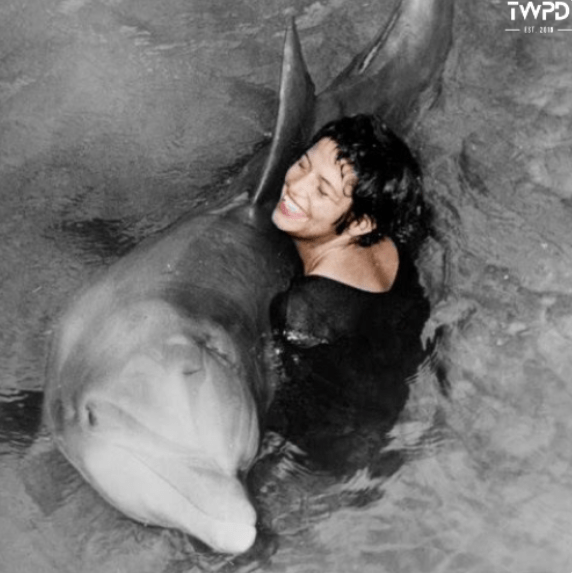Tragický experiment: Žena mala pomer s delfínom, zaľúbil sa do nej a po rozchode sa zabil