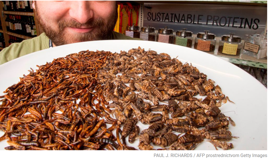 Kanadská spoločnosť sa zaviazala vyrábať dve miliardy chrobákov ročne pre ľudskú spotrebu